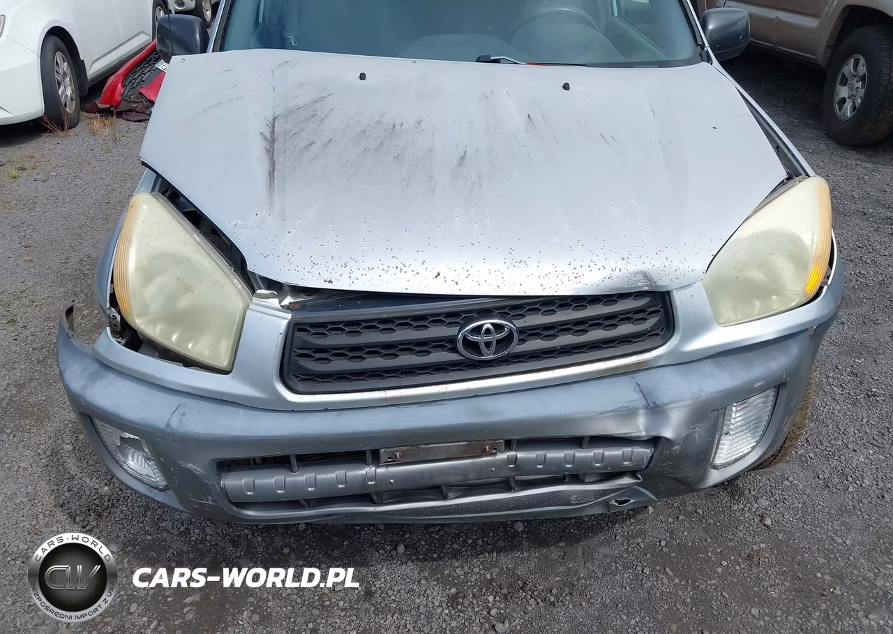 2002 Toyota Rav4 VIN:JTEGH20V920044690 - 19