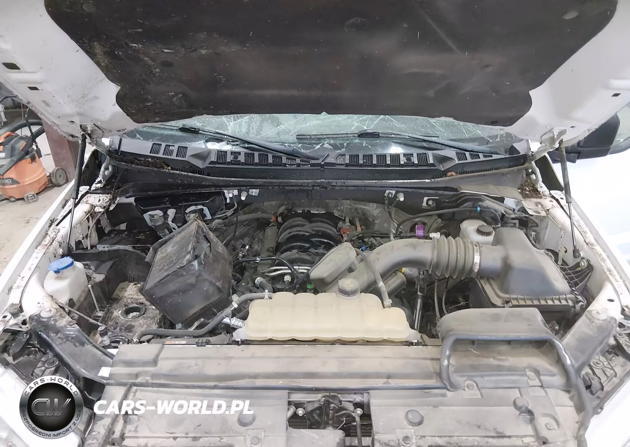 2019 Ford F-150 Xlt VIN:1FTFW1E57KKD39641 - 10