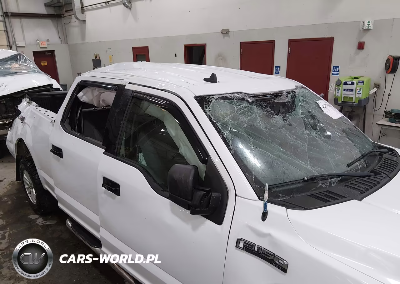 2019 Ford F-150 Xlt VIN:1FTFW1E57KKD39641 - 6