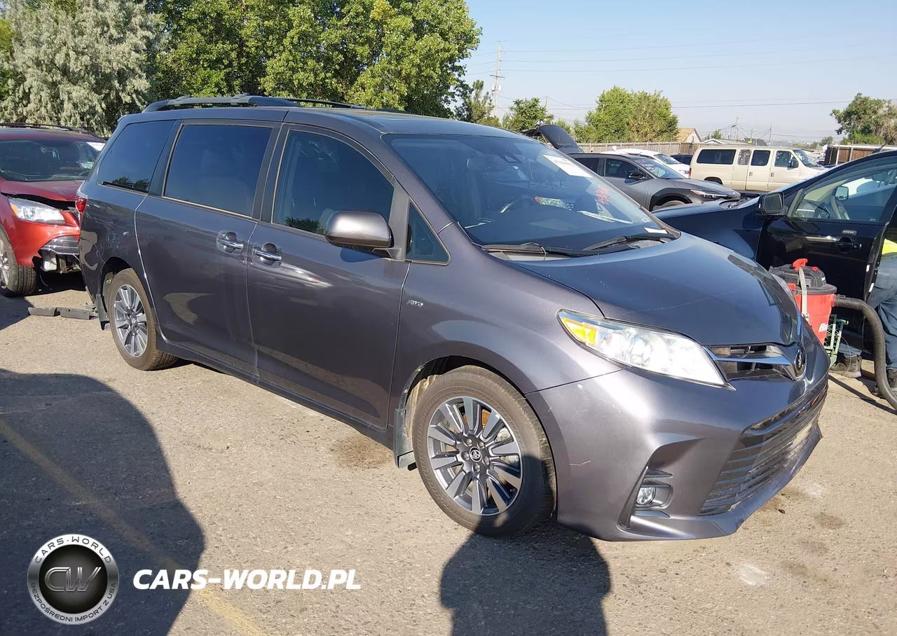 2019 Toyota Sienna Xle 7 Passenger VIN:5TDDZ3DCXKS225863 - 13