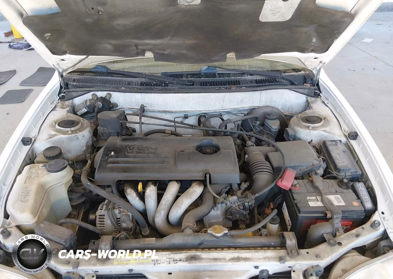 2000 Toyota Corolla Ce VIN:1NXBR12EXYZ306636 - 10