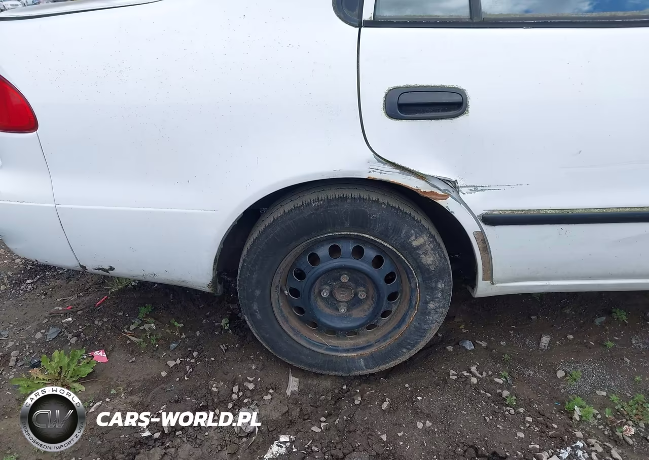 2000 Toyota Corolla Ce VIN:1NXBR12EXYZ306636 - 19