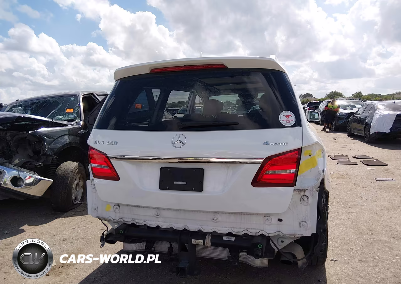 2019 Mercedes-Benz Gls 450 4Matic VIN:4JGDF6EEXKB225195 - 17