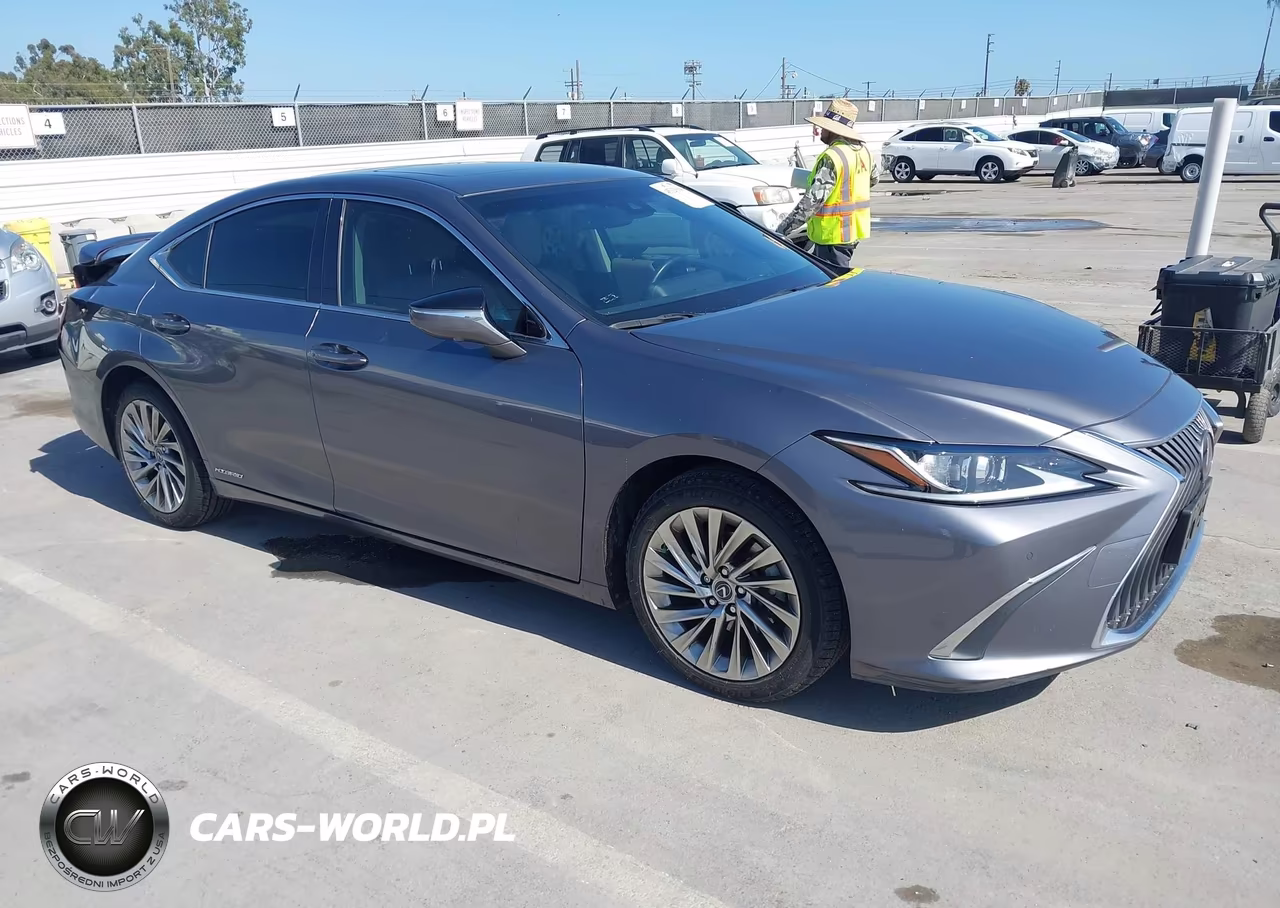 2019 Lexus Es 300H Luxury