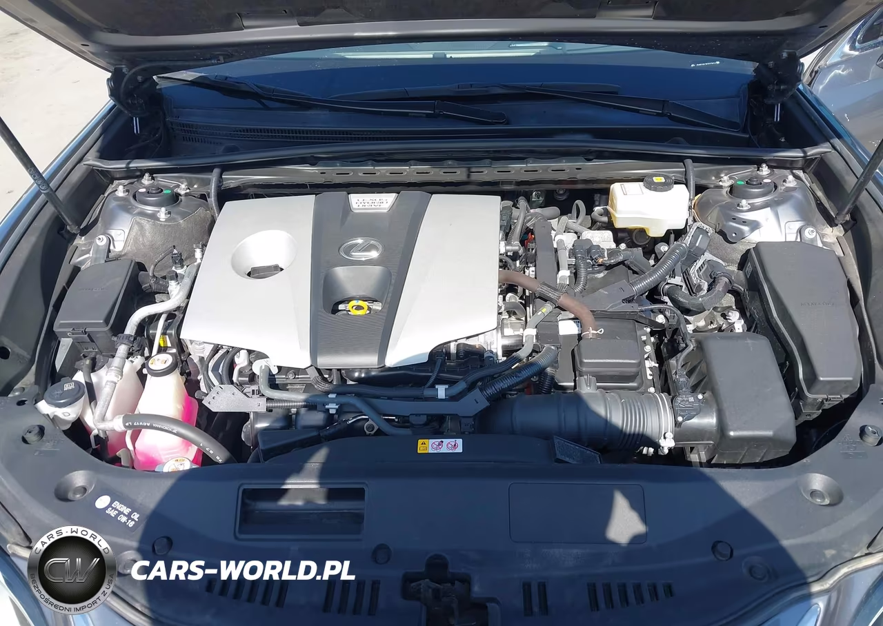 2019 Lexus Es 300H Luxury VIN:JTHB21B17K2013414 - 10