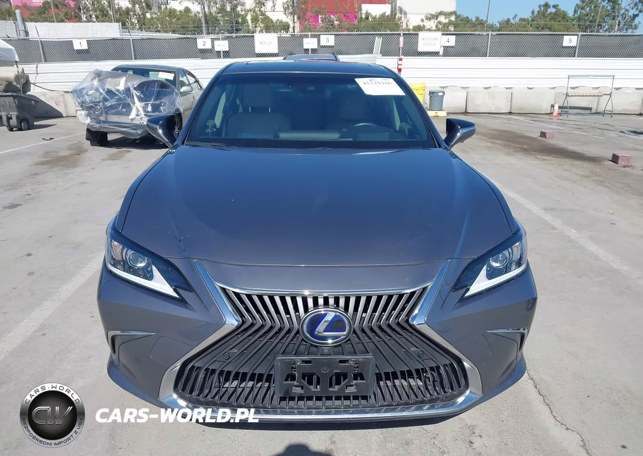 2019 Lexus Es 300H Luxury VIN:JTHB21B17K2013414 - 12