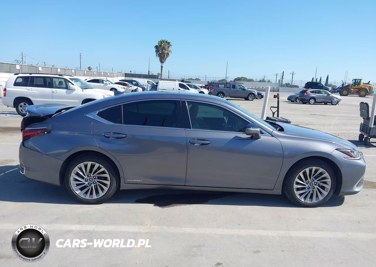 2019 Lexus Es 300H Luxury VIN:JTHB21B17K2013414 - 13