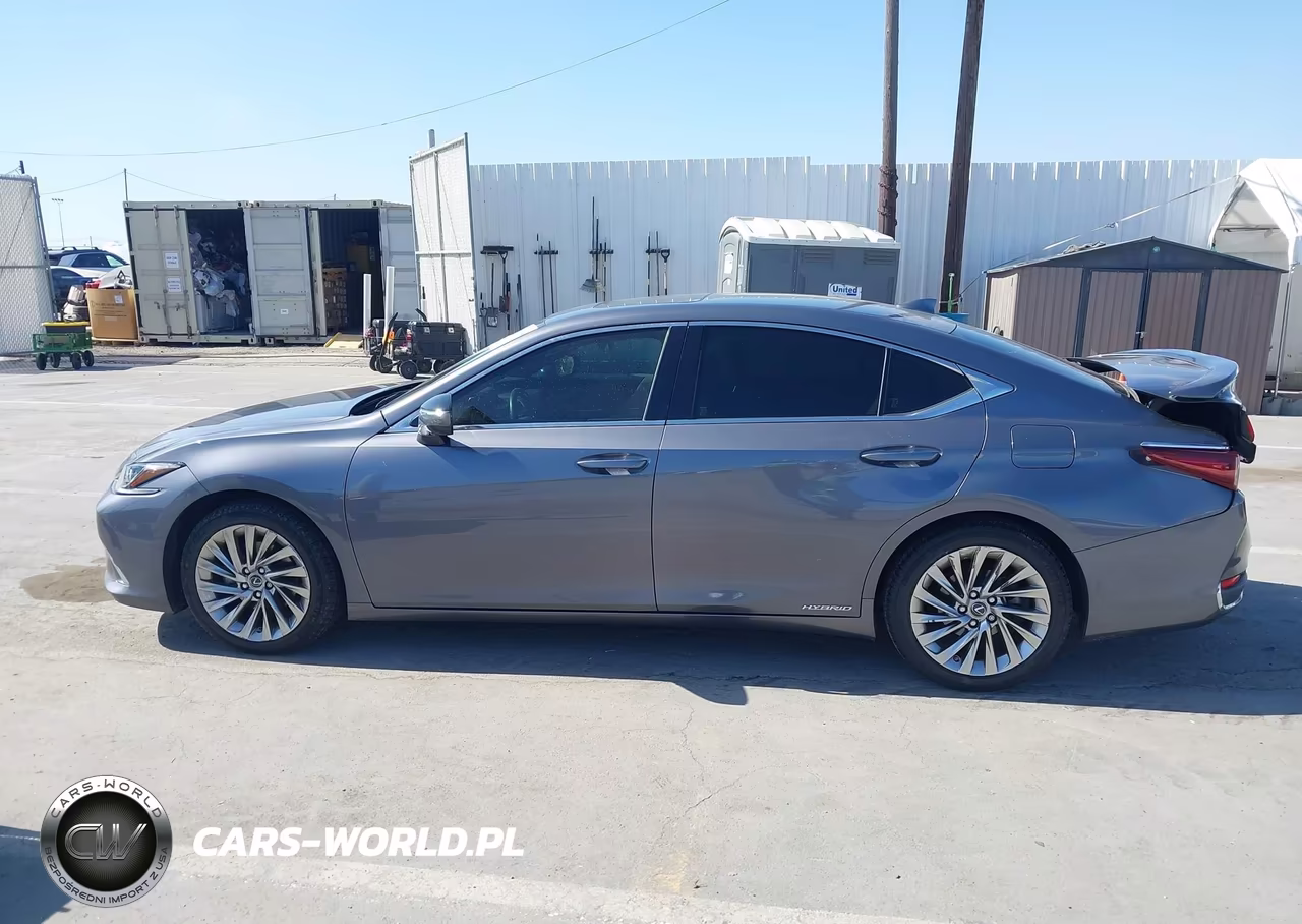 2019 Lexus Es 300H Luxury VIN:JTHB21B17K2013414 - 14