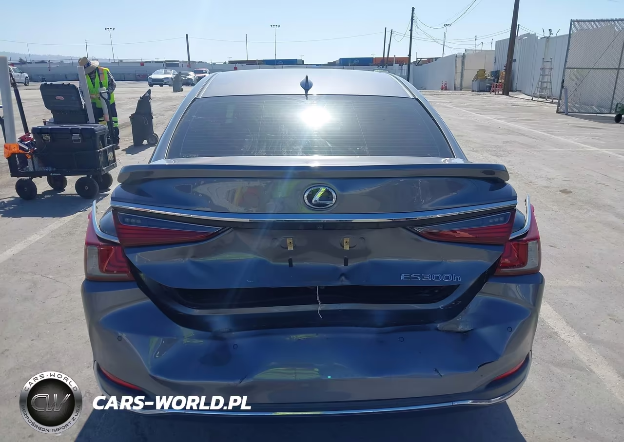 2019 Lexus Es 300H Luxury VIN:JTHB21B17K2013414 - 16