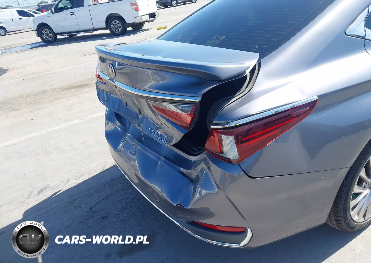 2019 Lexus Es 300H Luxury VIN:JTHB21B17K2013414 - 6