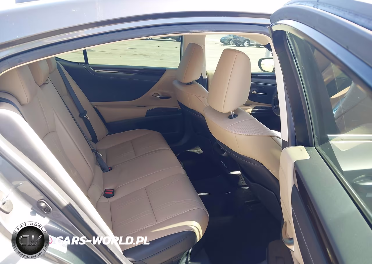 2019 Lexus Es 300H Luxury VIN:JTHB21B17K2013414 - 8