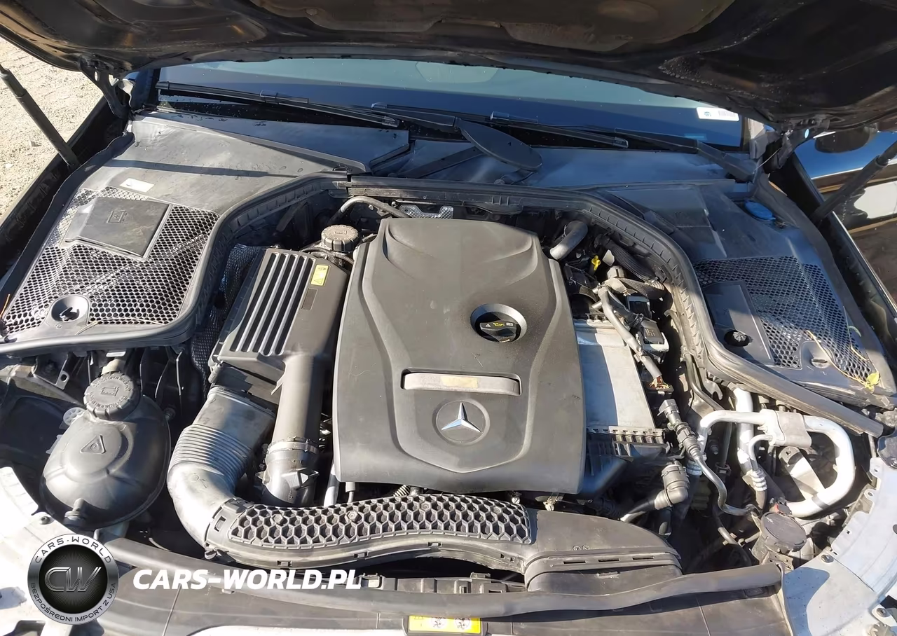 2016 Mercedes-Benz C 300 VIN:55SWF4JB9GU141904 - 10