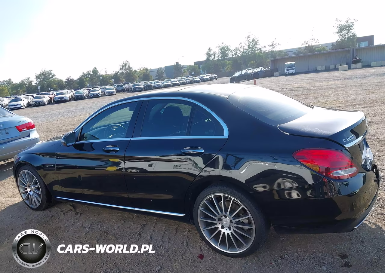 2016 Mercedes-Benz C 300 VIN:55SWF4JB9GU141904 - 14