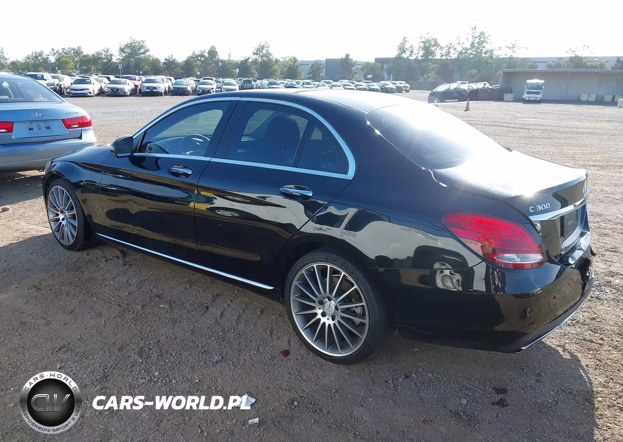 2016 Mercedes-Benz C 300 VIN:55SWF4JB9GU141904 - 3
