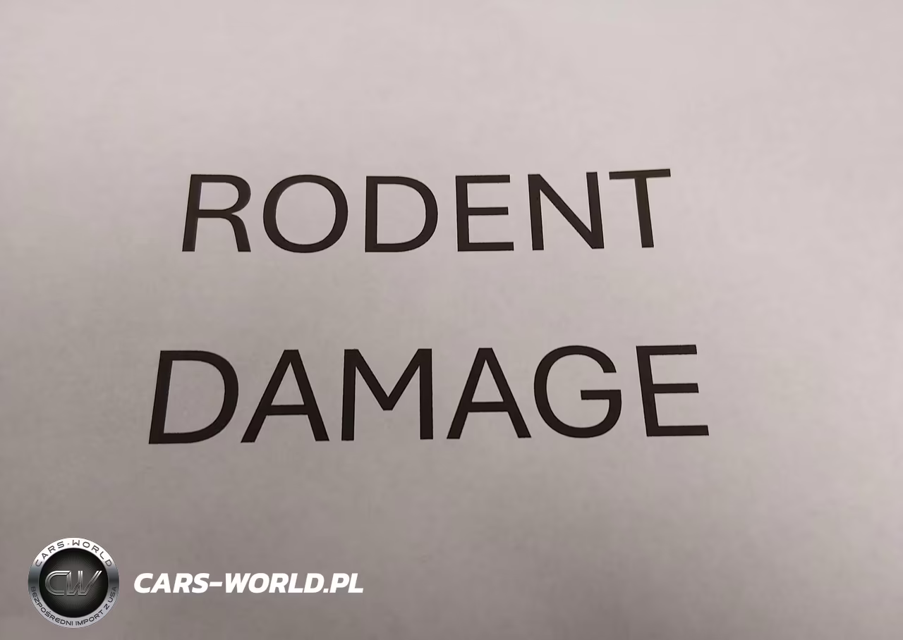 2022 Jeep Renegade Trailhawk 4X4 VIN:ZACNJDC11NPN71333 - 19