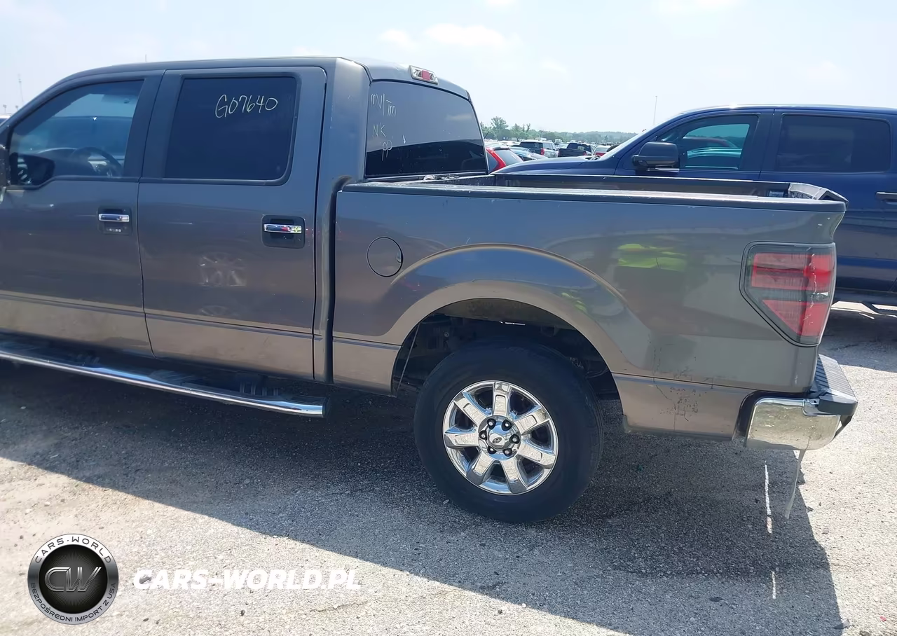 2013 Ford F-150 Xlt VIN:1FTEW1CM8DKG07640 - 3