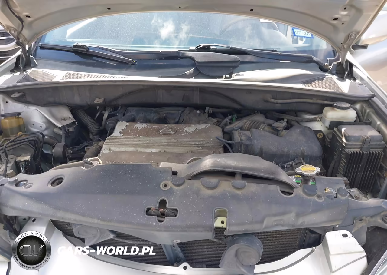 2005 Lexus Rx 330 VIN:2T2GA31UX5C033059 - 10