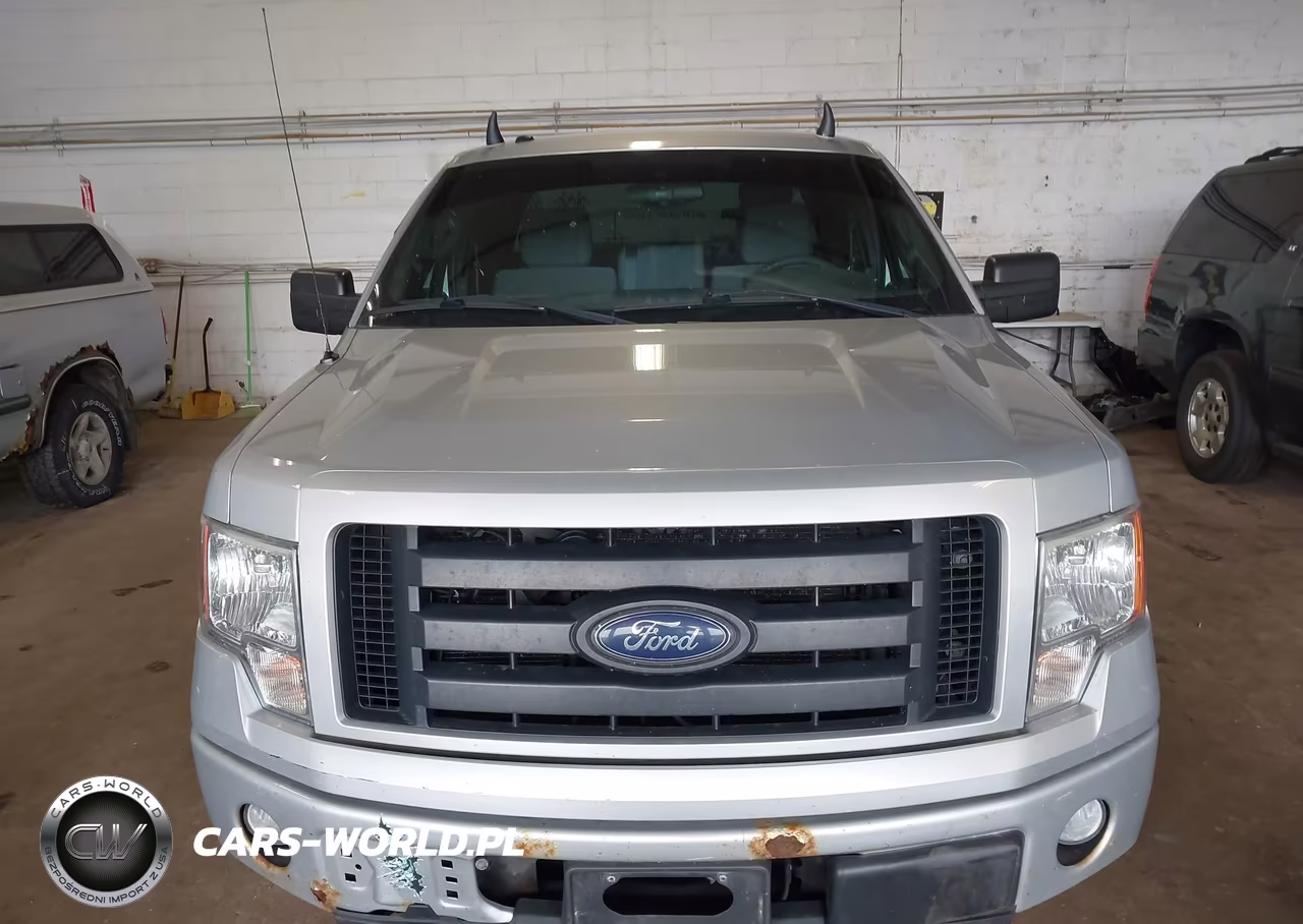 2012 Ford F-150 Stx VIN:1FTFX1EF3CKE35774 - 12