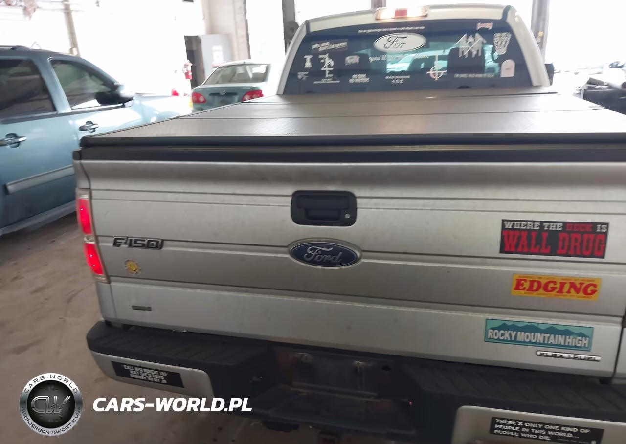 2012 Ford F-150 Stx VIN:1FTFX1EF3CKE35774 - 16