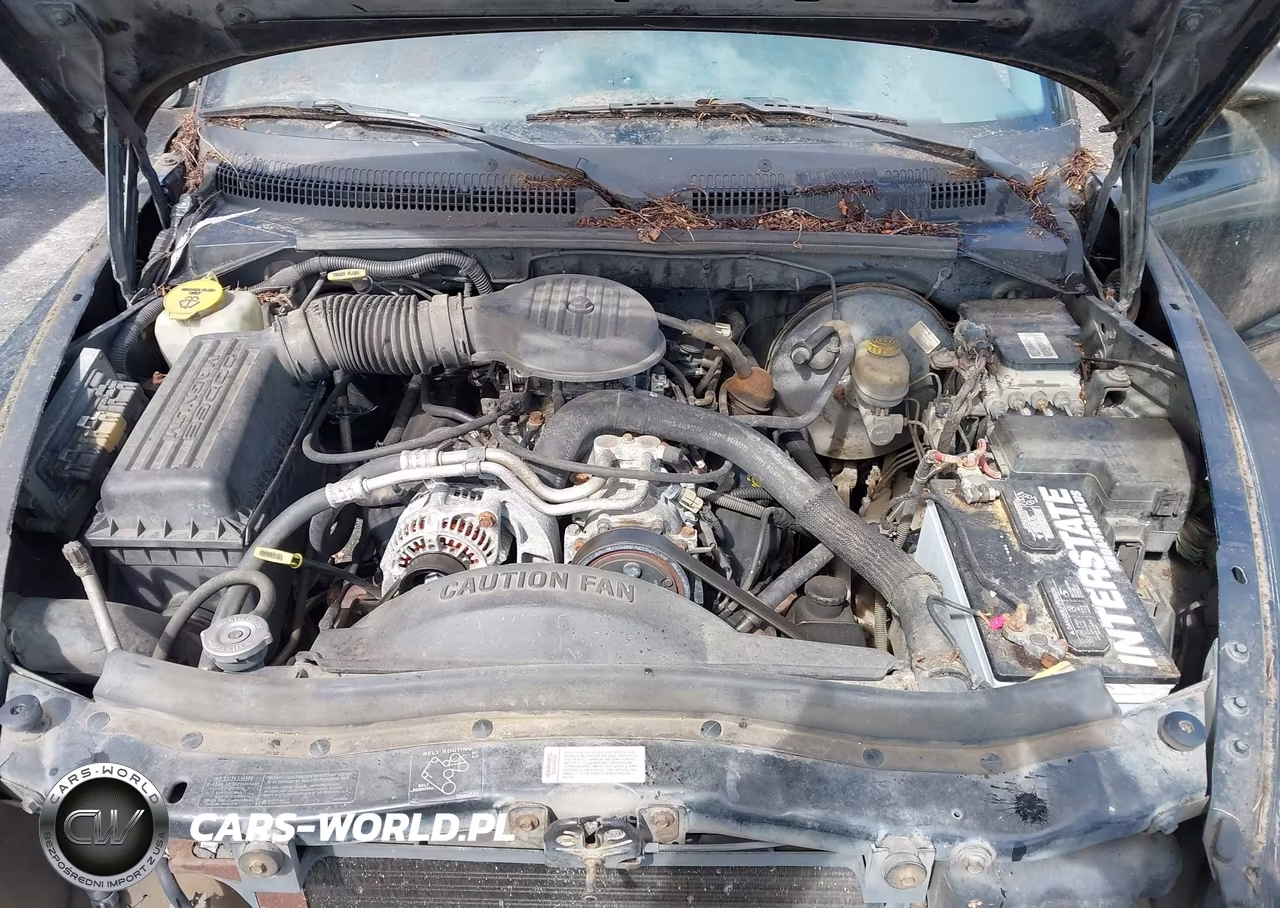 1997 Dodge Dakota Slt-Sport VIN:1B7GG23Y8VS187684 - 10