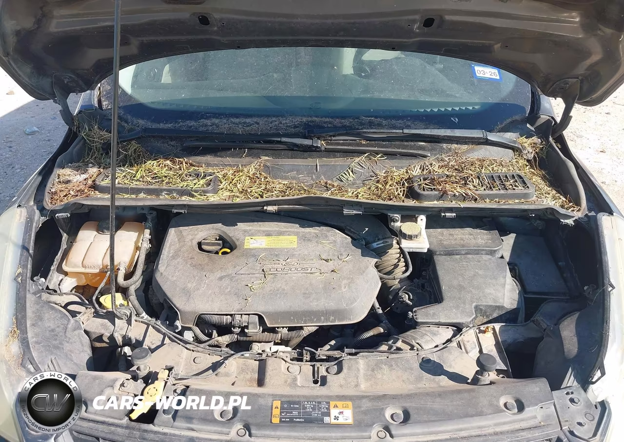 2014 Ford Escape Se VIN:1FMCU0GX7EUB71490 - 10