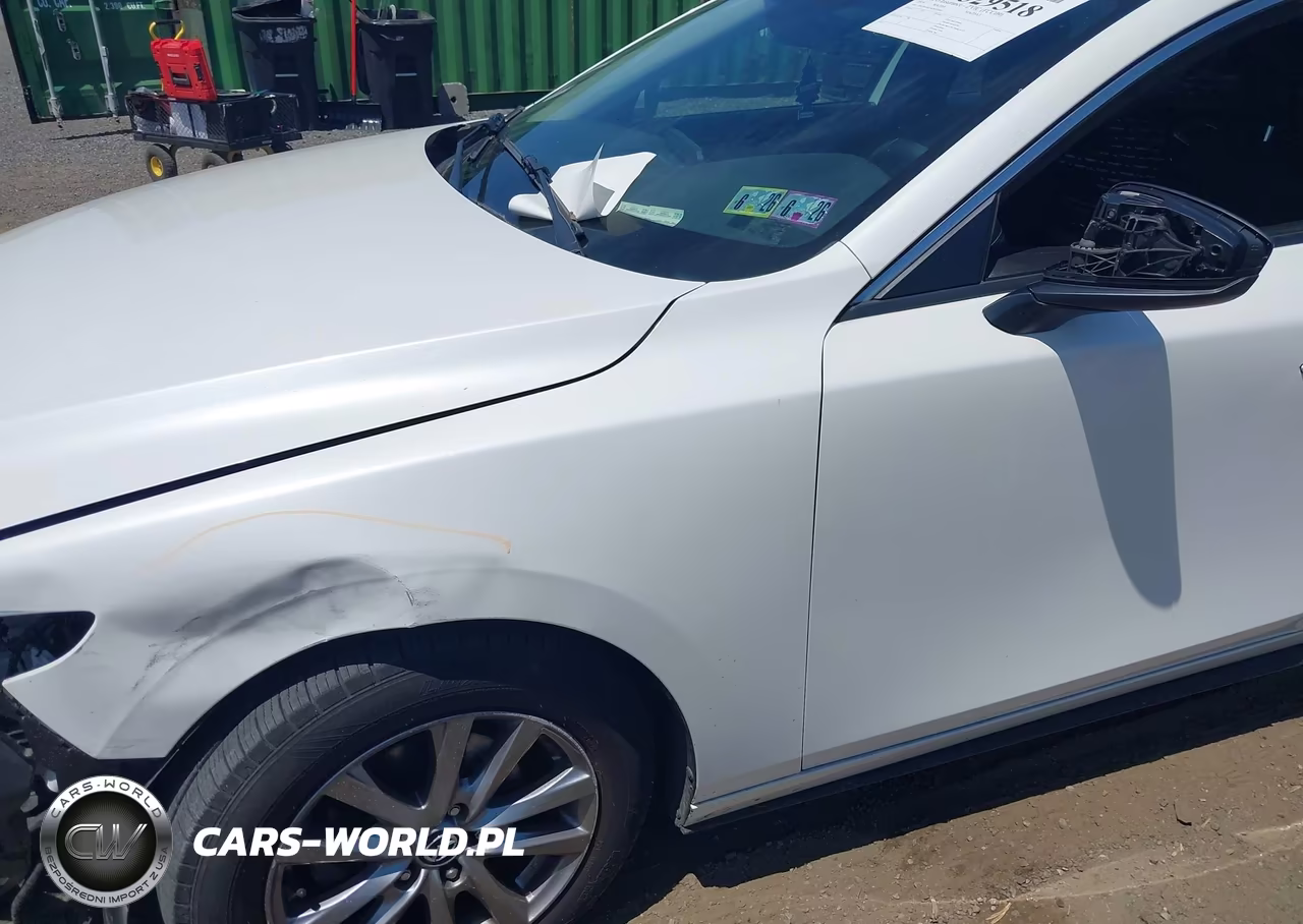 2019 Mazda Mazda3 VIN:3MZBPABL9KM114044 - 17