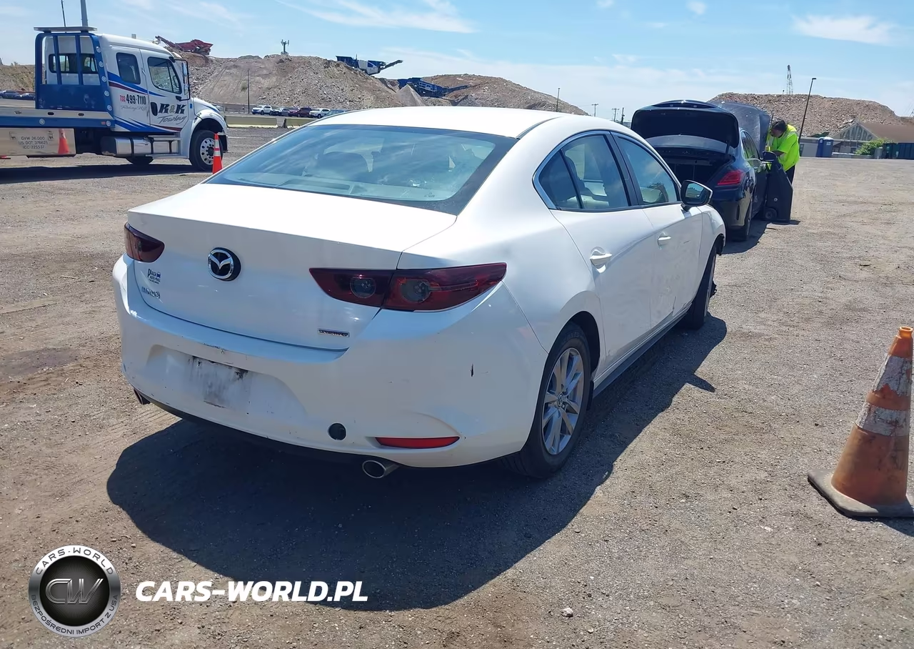 2019 Mazda Mazda3 VIN:3MZBPABL9KM114044 - 4