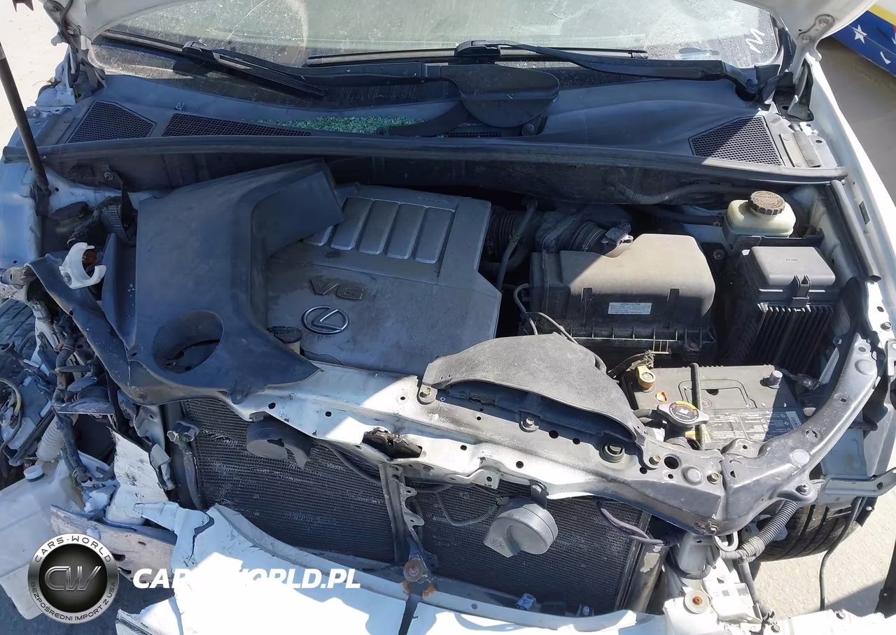 2007 Lexus Rx 350 VIN:JTJGK31U170006439 - 10