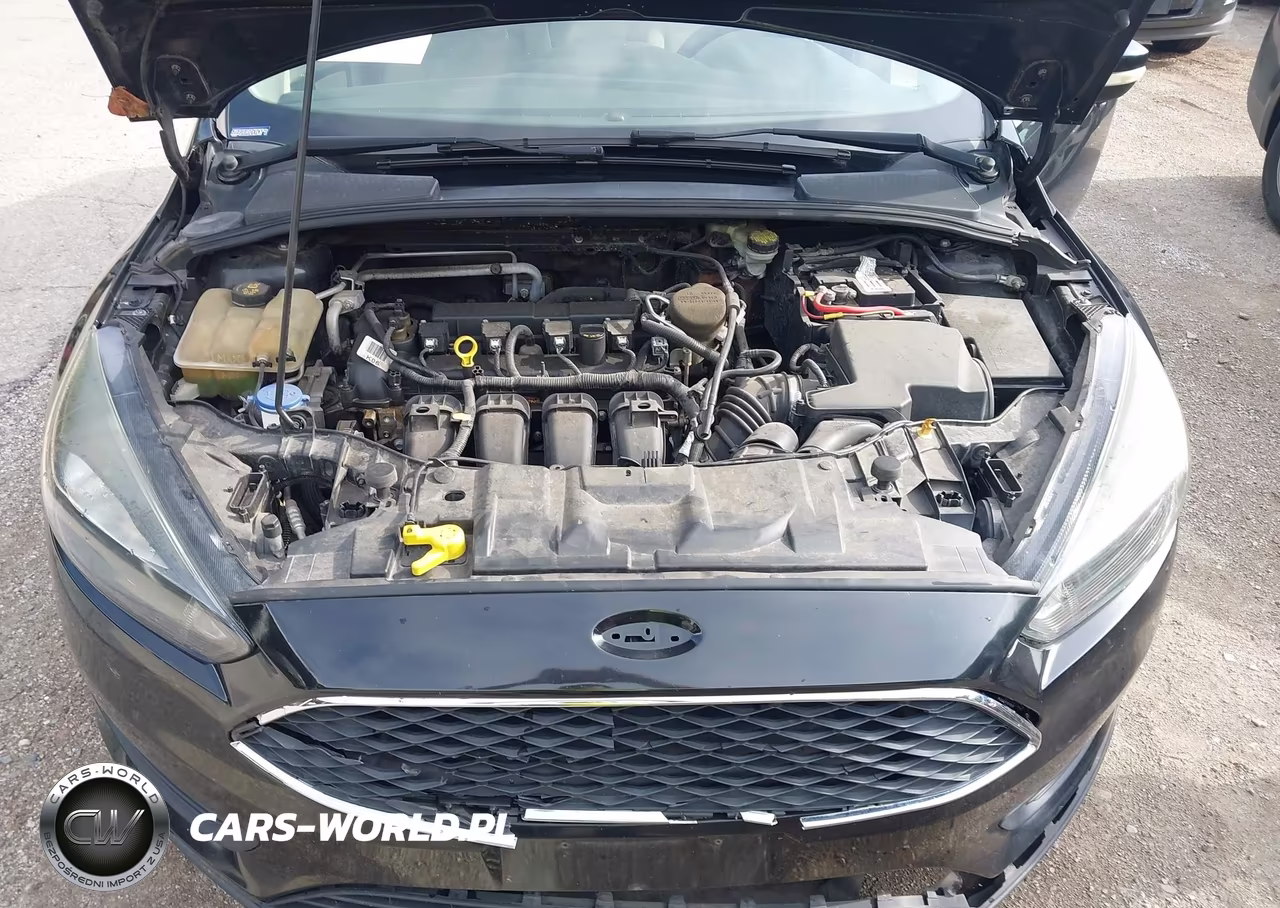 2015 Ford Focus Se VIN:1FADP3F22FL295512 - 10
