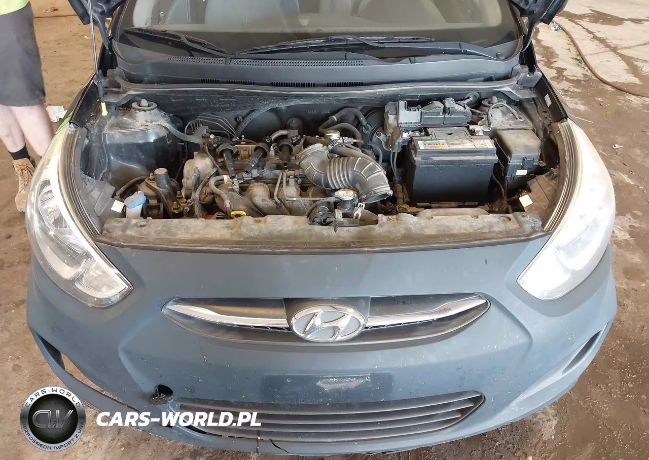 2015 Hyundai Accent Gs VIN:KMHCT5AE9FU220438 - 10