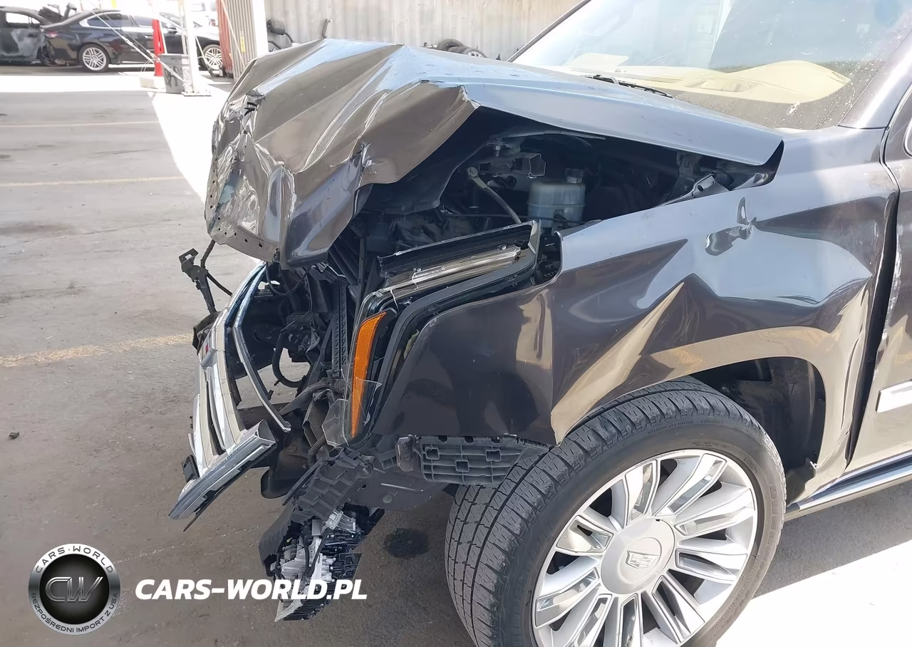 2017 Cadillac Escalade Platinum VIN:1GYS4DKJ7HR272329 - 13