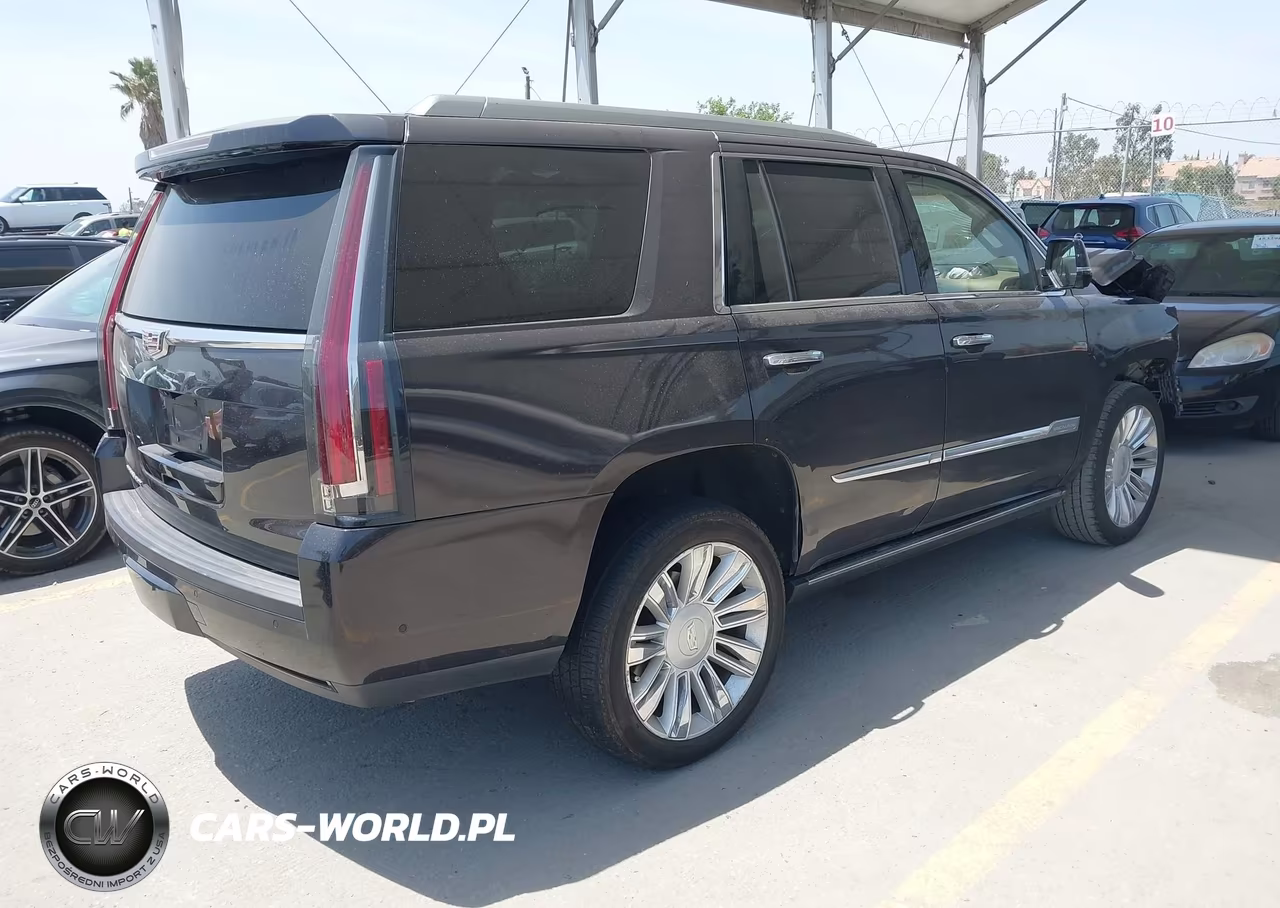 2017 Cadillac Escalade Platinum VIN:1GYS4DKJ7HR272329 - 4