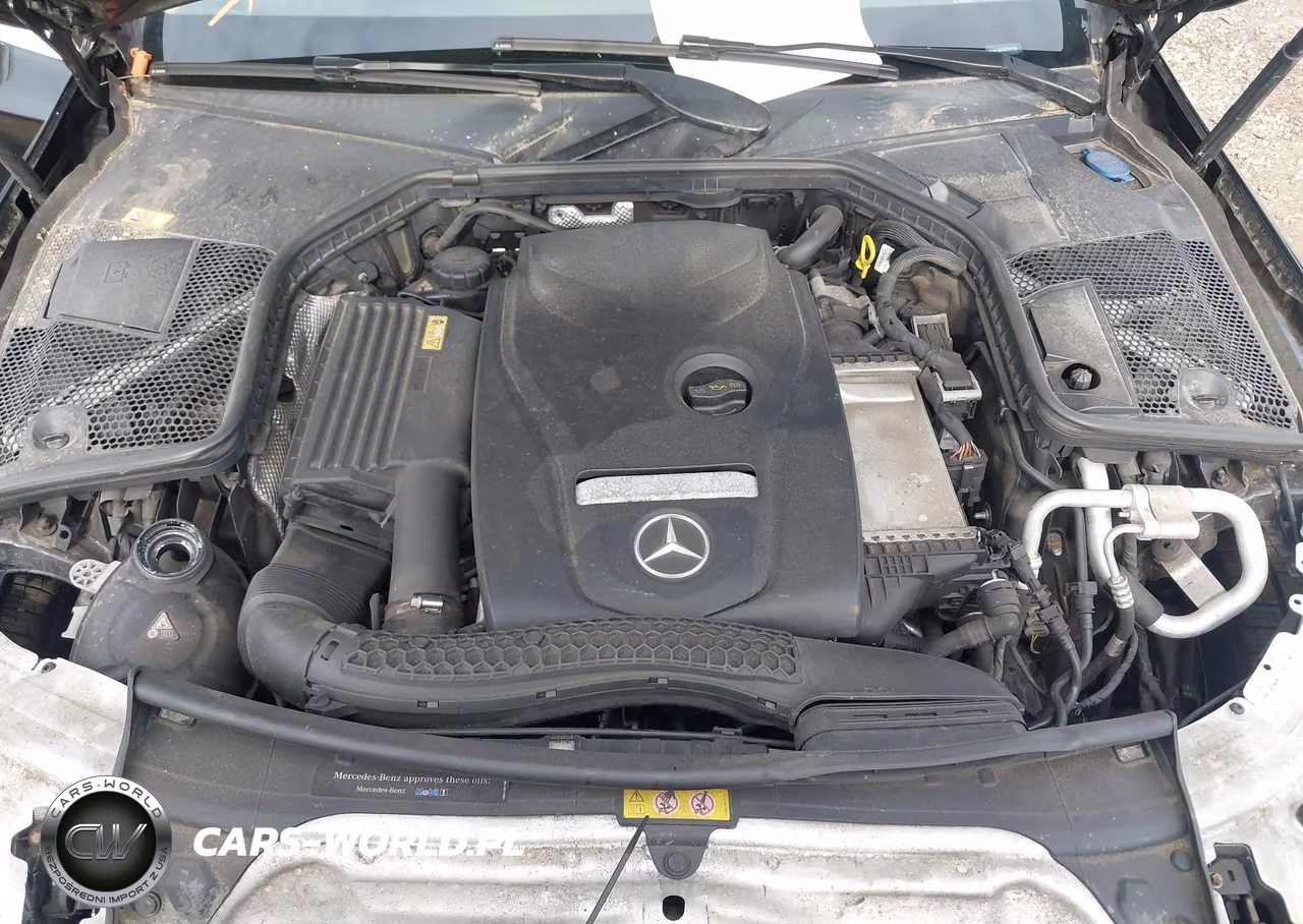 2016 Mercedes-Benz C 300 Luxury 4Matic VIN:55SWF4KB6GU147156 - 10