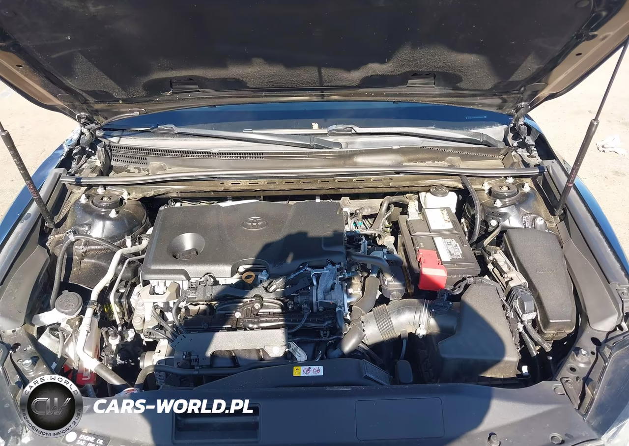 2019 Toyota Camry Le VIN:4T1B11HK8KU276869 - 10