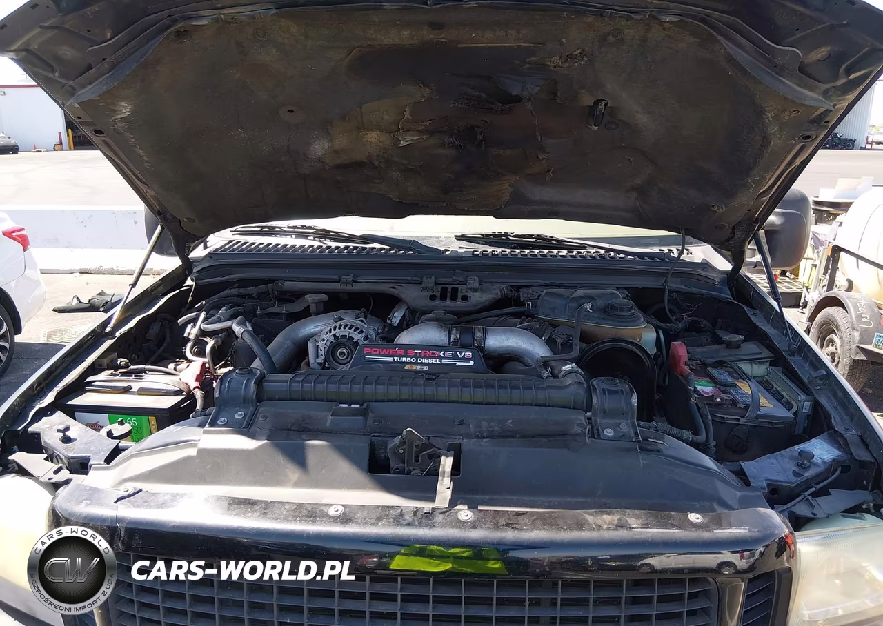 2003 Ford Excursion Limited VIN:1FMSU43P83EB44167 - 10