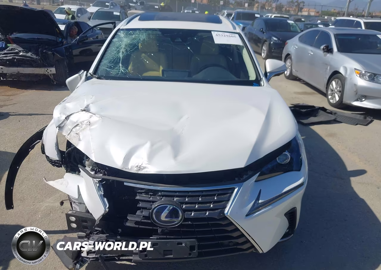 2021 Lexus Nx 300H VIN:JTJGJRDZ2M5011273 - 13