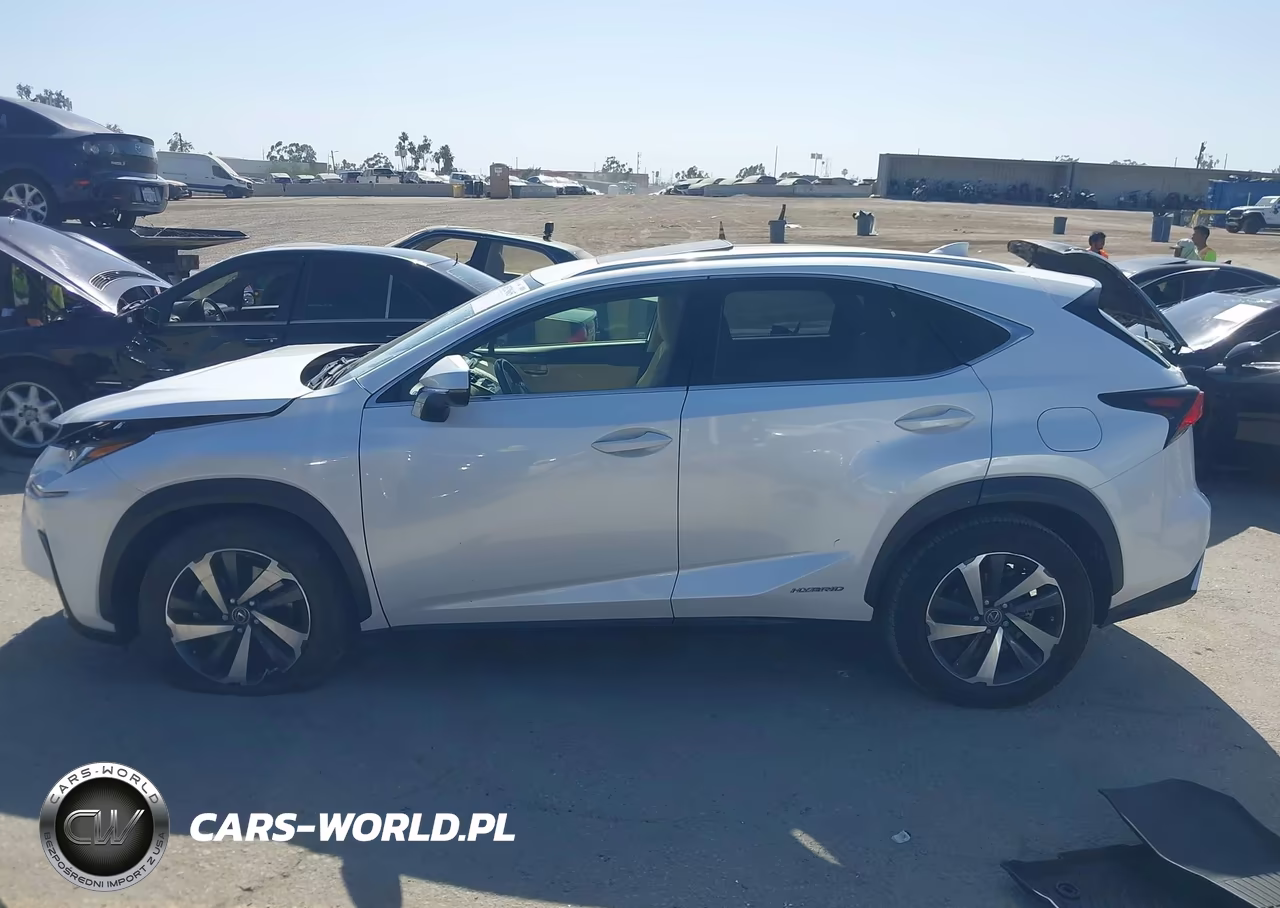 2021 Lexus Nx 300H VIN:JTJGJRDZ2M5011273 - 15