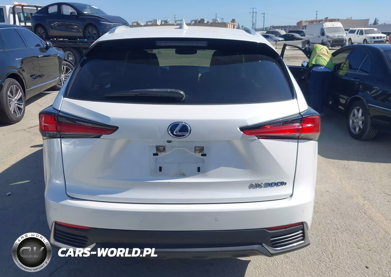 2021 Lexus Nx 300H VIN:JTJGJRDZ2M5011273 - 17