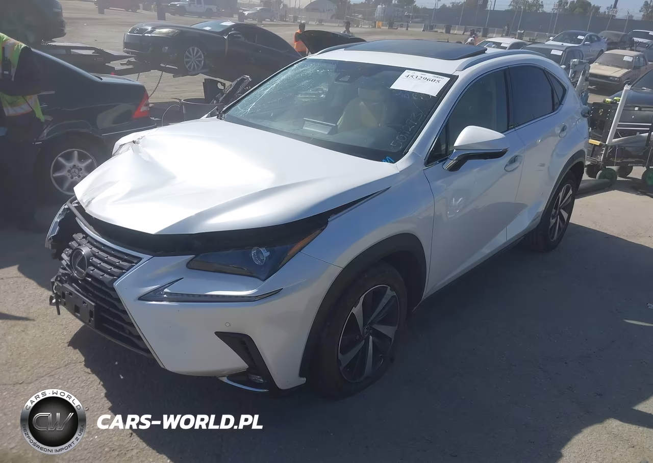 2021 Lexus Nx 300H VIN:JTJGJRDZ2M5011273 - 2