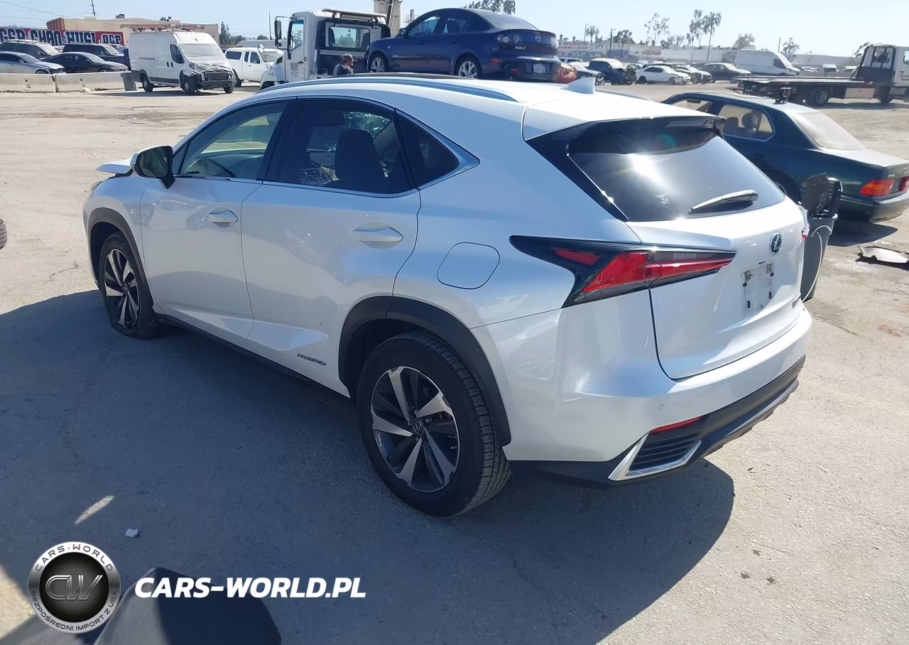 2021 Lexus Nx 300H VIN:JTJGJRDZ2M5011273 - 3