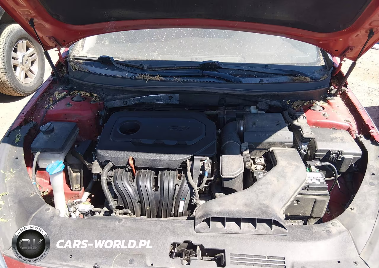 2019 Hyundai Sonata Se VIN:5NPE24AF8KH817314 - 10
