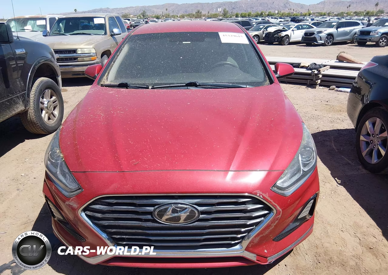2019 Hyundai Sonata Se VIN:5NPE24AF8KH817314 - 12
