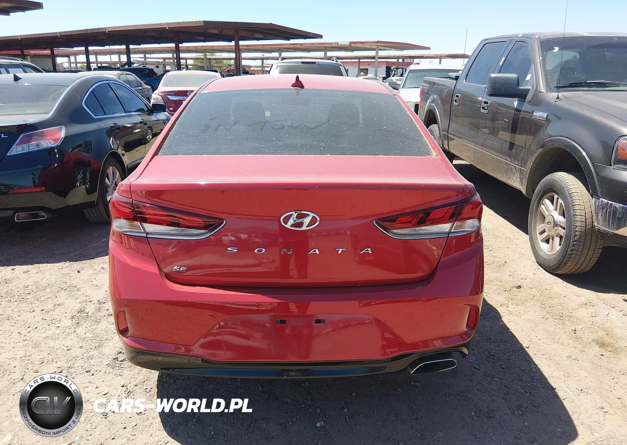 2019 Hyundai Sonata Se VIN:5NPE24AF8KH817314 - 16