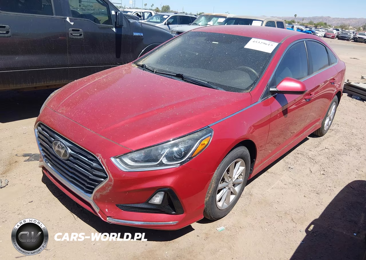 2019 Hyundai Sonata Se VIN:5NPE24AF8KH817314 - 2