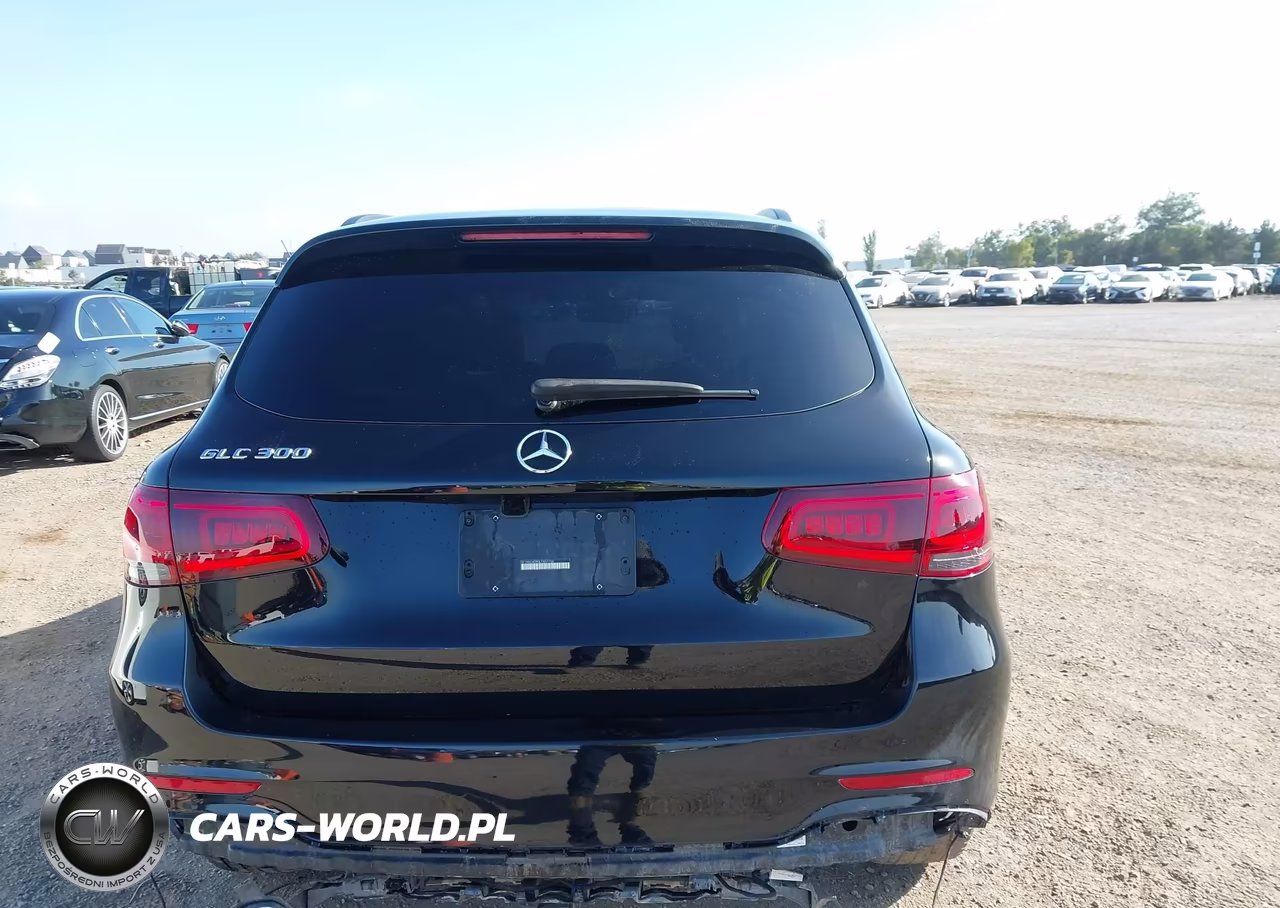 2020 Mercedes-Benz Glc 300 VIN:W1N0G8DB0LF807750 - 16