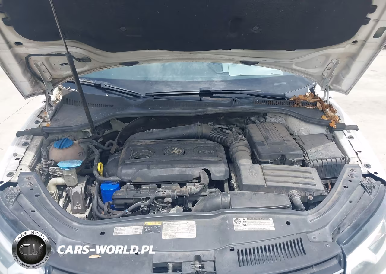 2014 Volkswagen Eos Komfort VIN:WVWBW8AH3EV003558 - 10