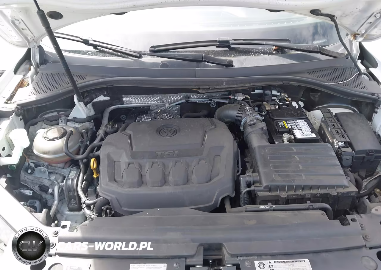 2018 Volkswagen Tiguan 2.0T Se-2.0T Sel VIN:3VV3B7AX1JM015196 - 10