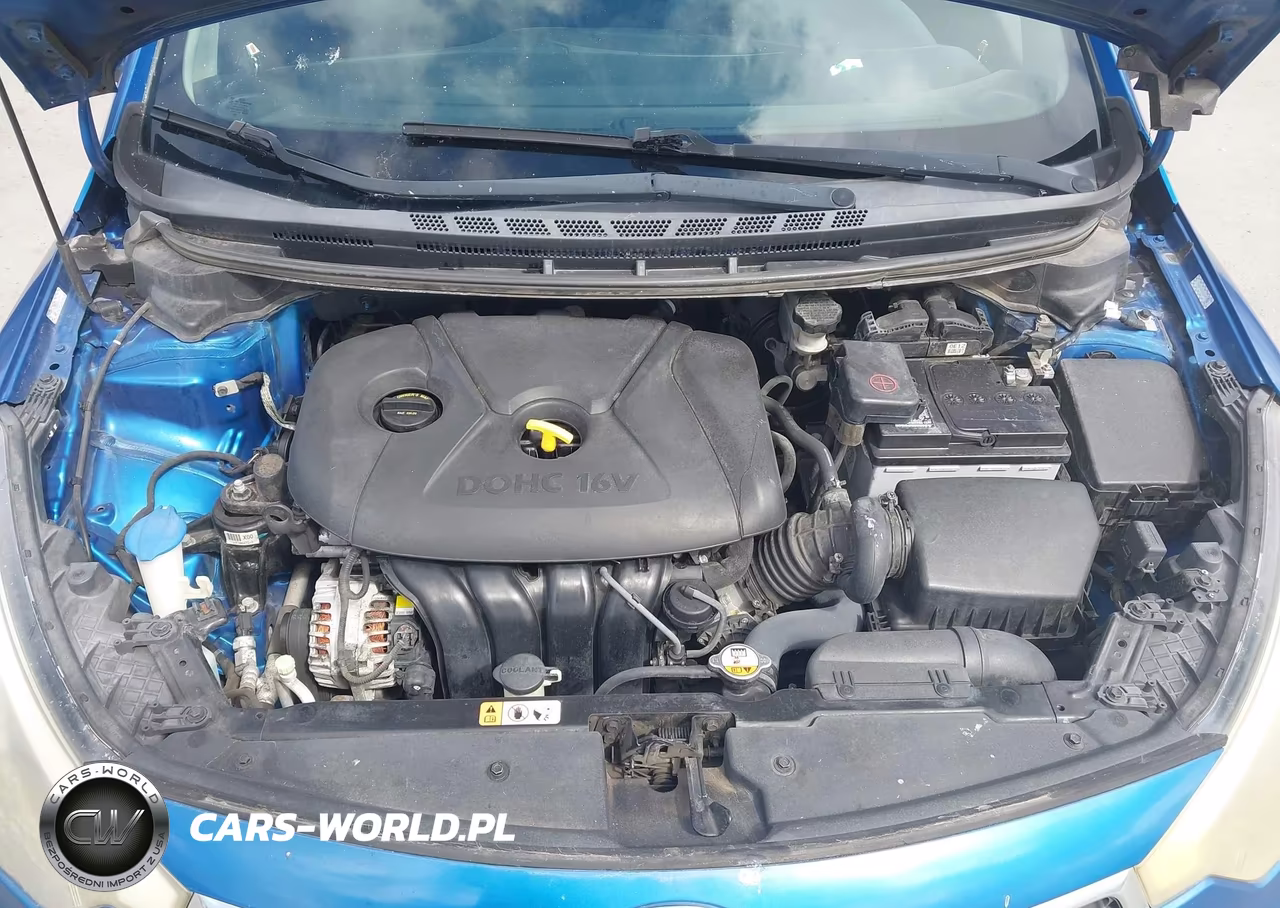 2014 Kia Forte Lx VIN:KNAFX4A60E5110392 - 10
