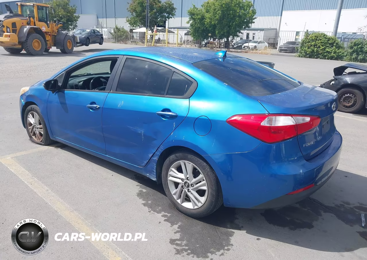 2014 Kia Forte Lx VIN:KNAFX4A60E5110392 - 3