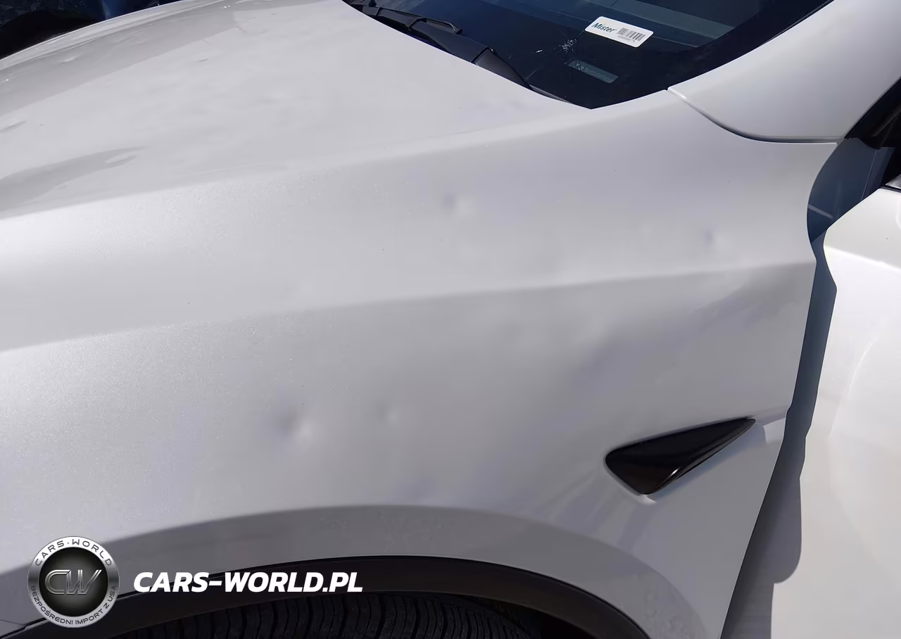 2026 Tesla Model Y All-Wheel Drive-Long Range Launch Series-Premium All-Wheel Drive VIN:7SAYGDEE9TF405812 - 13
